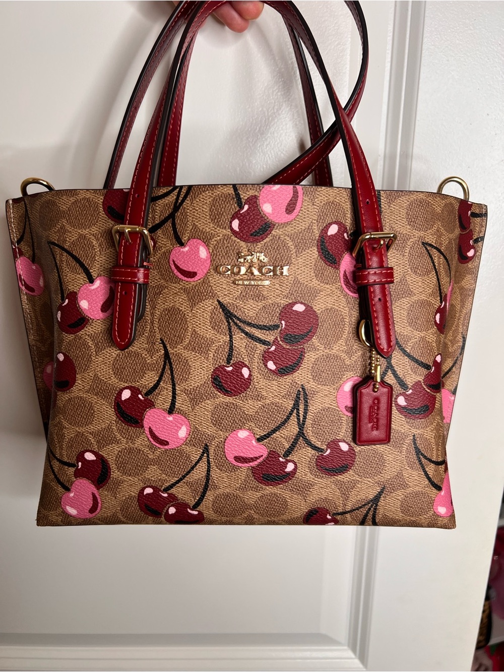 Coach Mollie 25 Cherry Signature Canvas
